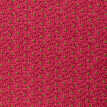 Preview: Baumwolle Druck Swafing Yummy Food Himbeeren
